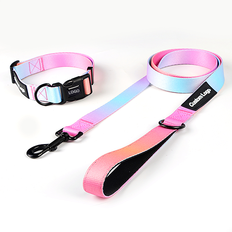 Customized Brand Canine Leash with Neoprene Padded Deal with – Producer of Pet Collars and Leashes