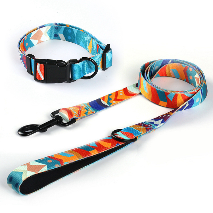 Customized Brand Canine Leash with Neoprene Padded Deal with - Producer of Pet Collars and Leashes