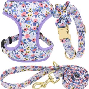 Personalised Canine Collar with Metallic Buckle – Further Pet Collars, Leashes & Harnesses