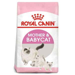 Royal Canin Pet Meals for Cats and Canines – Obtainable for Export